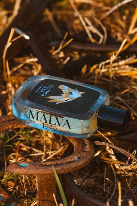 Malva 1979 - Leather Soul