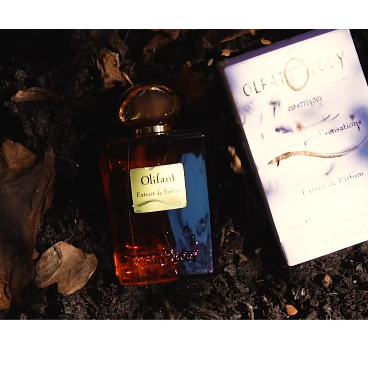 Olfattology- Olifant