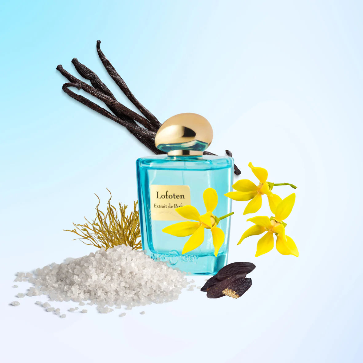 Olfattology- Lofoten