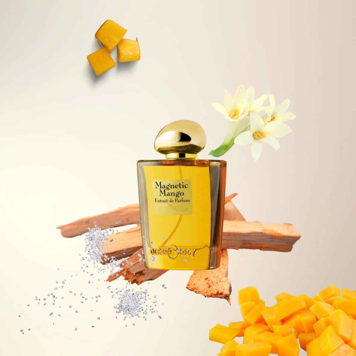 Olfattology-Magnetic Mango