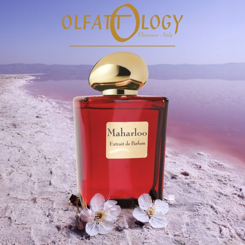 Olfattology-Maharloo