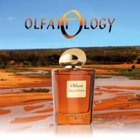 Olfattology- Olifant